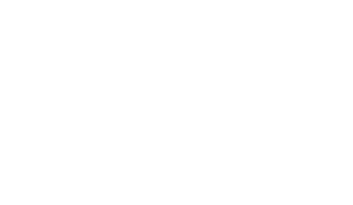 Apple / AirTag