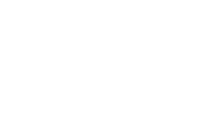 Rock & Roll