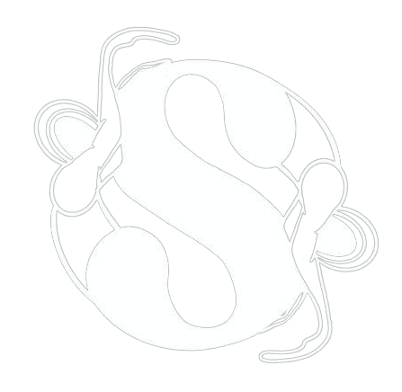 Santulan